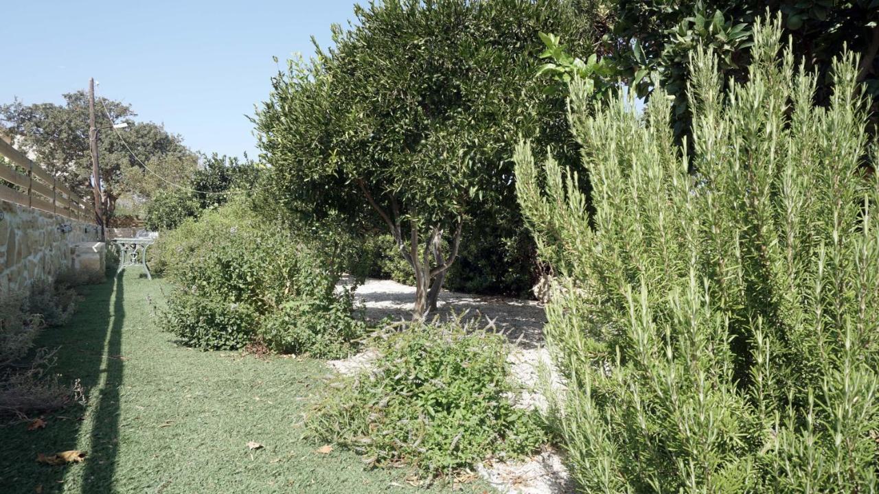 Studio Panagiota - Oasis Holiday Houses Kokkinos Pyrgos Exterior foto